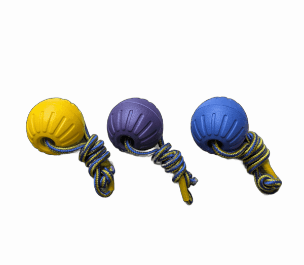Joy Ball